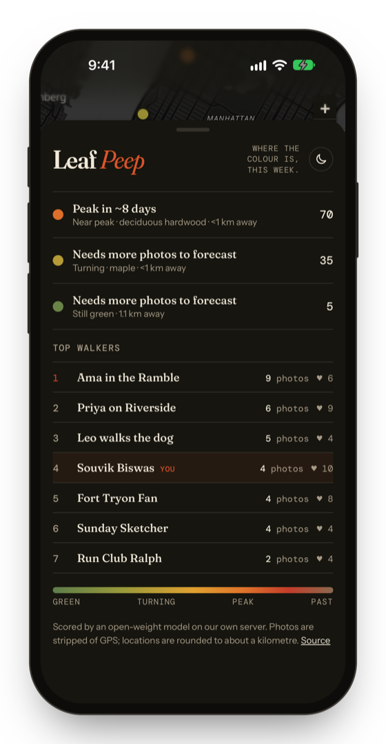 A tree scored 95, peak, in dark mode