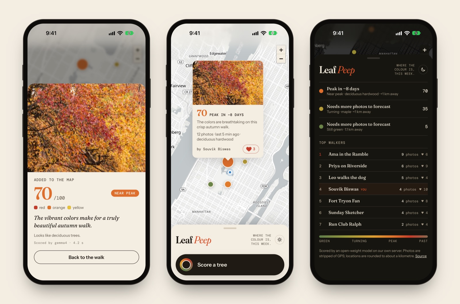 Leaf Peep on three iPhones: the map, a scored tree, and a forecast in dark mode