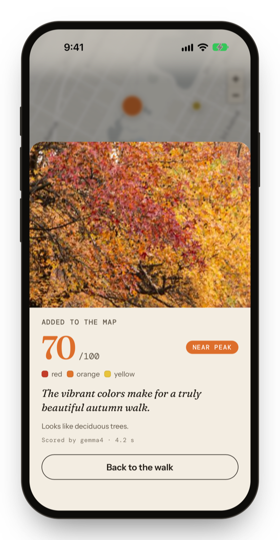 A colour score of 65, near peak